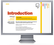 Script - website and branding design
